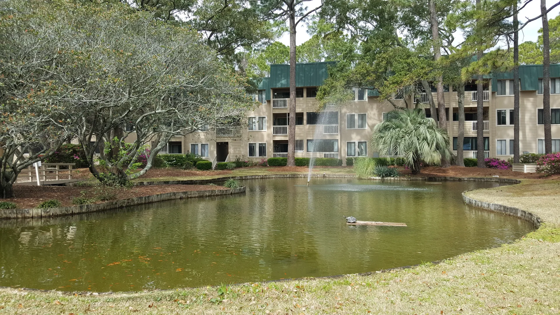 Koi pond with fountain surrounded by landscaping